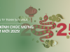 CÔNG TY TNHH SKS VINA XIN KÍNH CHÚC MỪNG NĂM MỚI 2025!